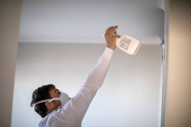 Best Residential Mold Removal  in Page, AZ