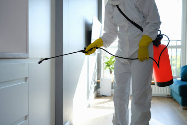 Best Mold Damage Repair  in Page, AZ