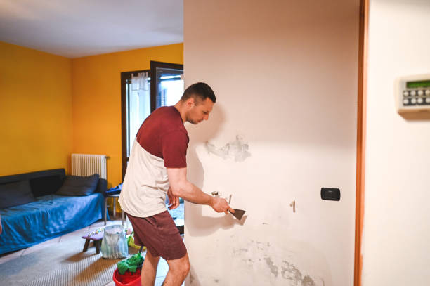 Best Mold Testing  in Page, AZ